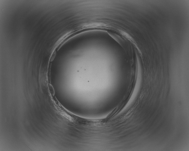 X0000054381330200508011243