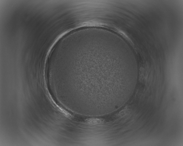 X0000054381331200508011243