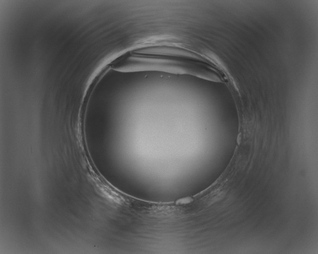 X0000054381336200508011244