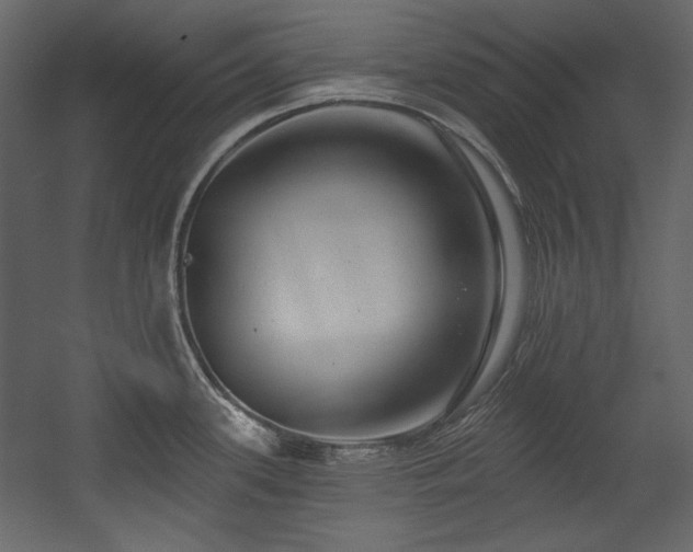 X0000054381339200508011244