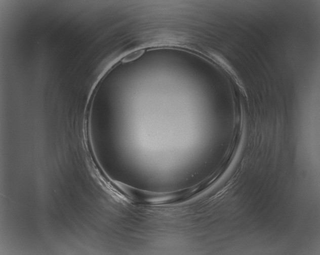 X0000054381340200508011244