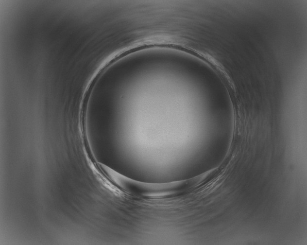 X0000054381342200508011244