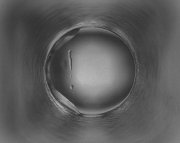 X0000054381344200508011244
