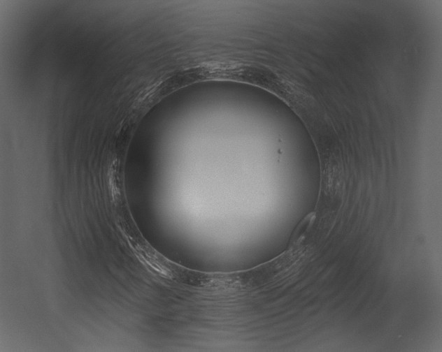 X0000054381346200508011243