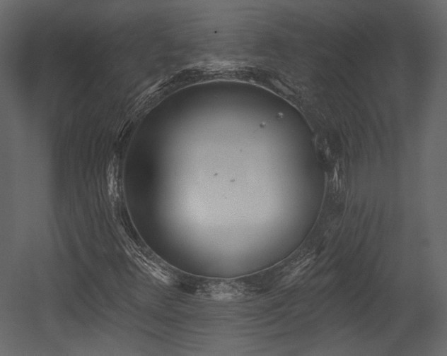 X0000054381348200508011243