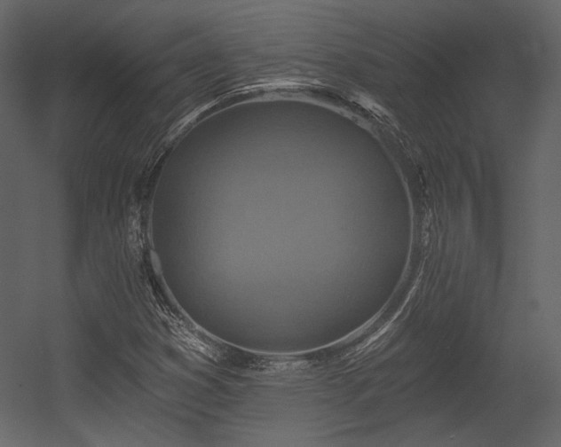 X0000054381353200508011243