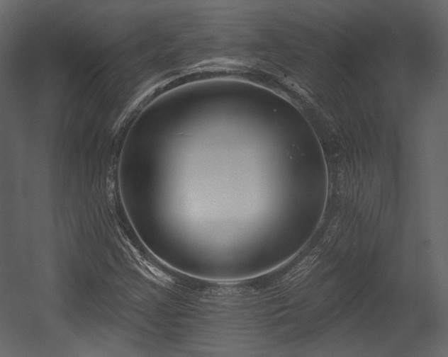 X0000054381355200508011243