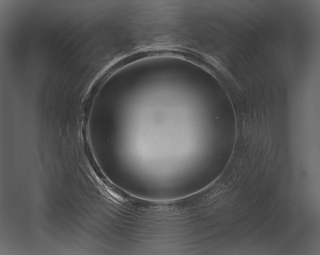 X0000054381356200508011243