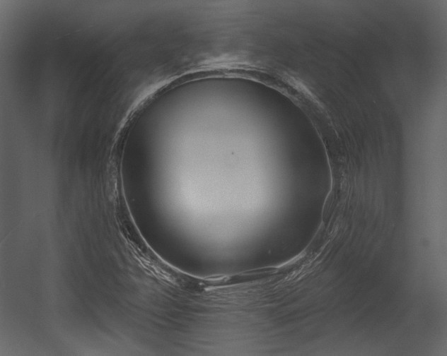 X0000054381358200508011243