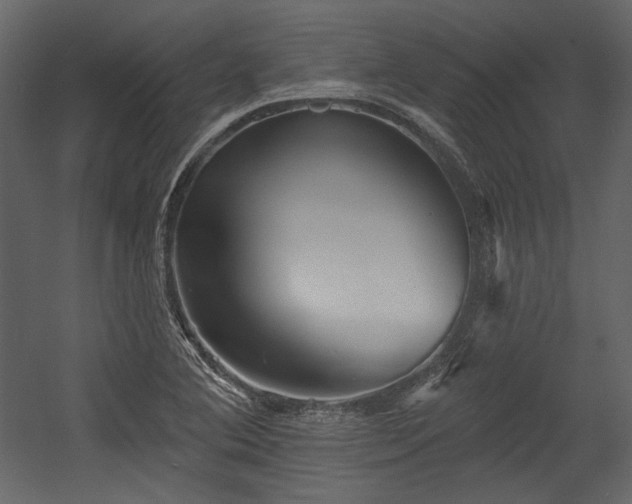 X0000054381364200508011242