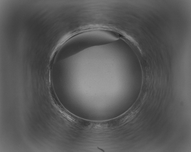 X0000054381365200508011242