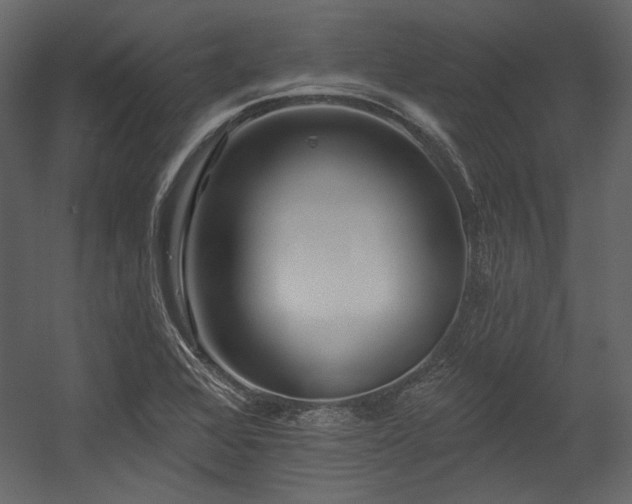 X0000054381368200508011242