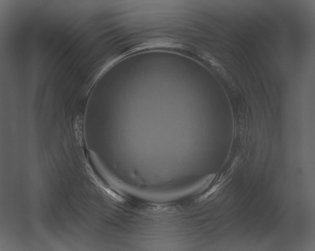 X0000054381369200508011242