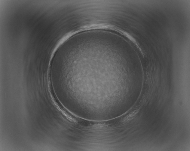 X0000054381373200508011242