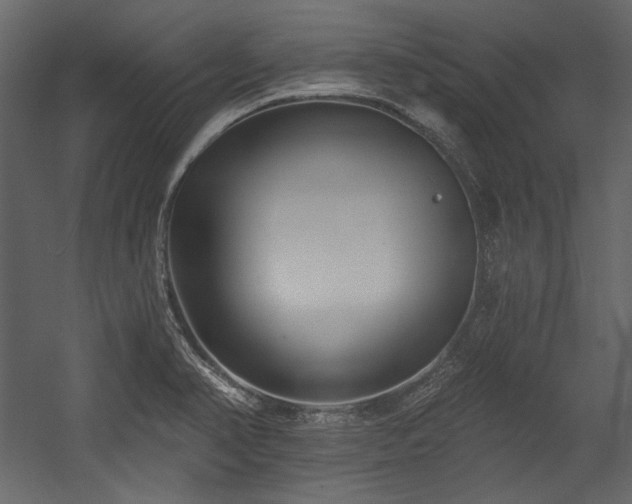 X0000054381374200508011242