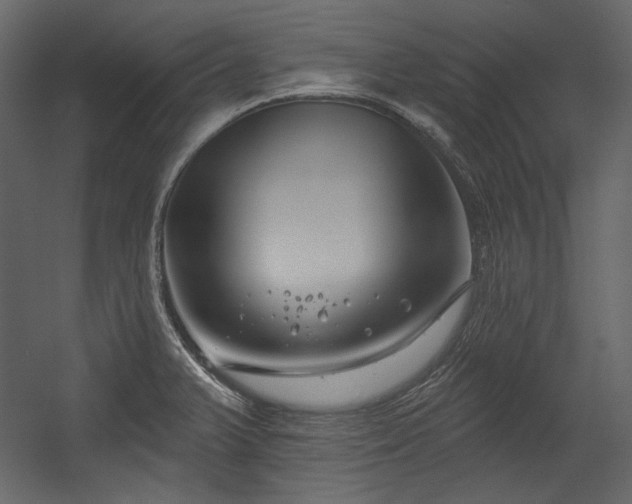 X0000054381375200508011242