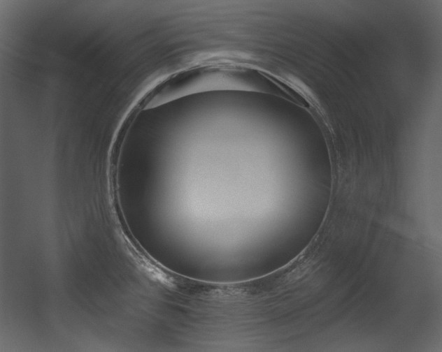 X0000054381384200508011242