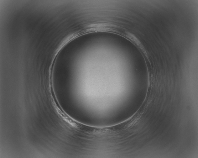 X0000054381386200508011242