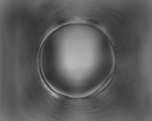 X0000054381387200508011242