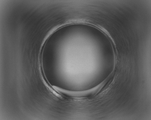 X0000054381389200508011242