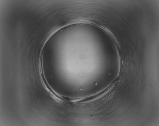 X0000054381391200508011242