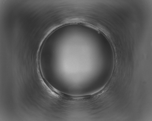 X0000054381392200508011242
