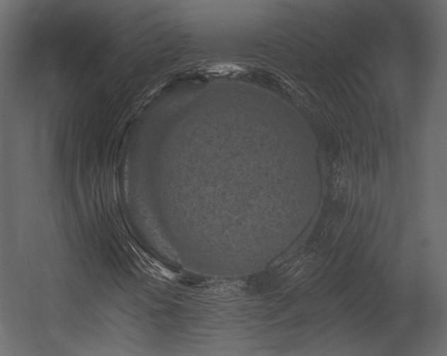 X0000054381394200508011241