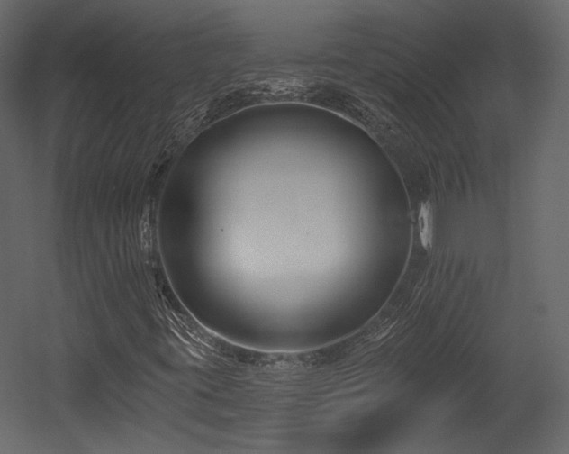 X0000054381395200508011241