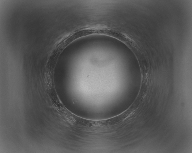 X0000054381398200508011241