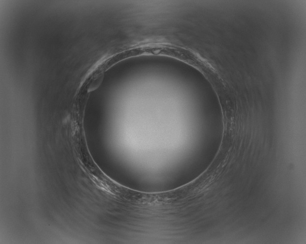 X0000054381400200508011241