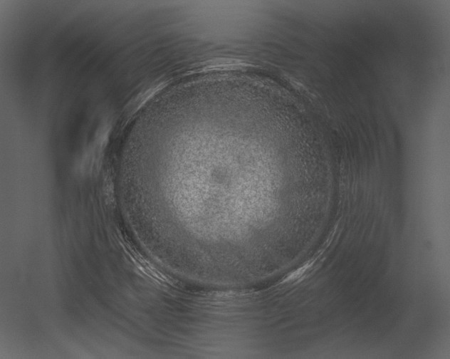 X0000054381401200508011241