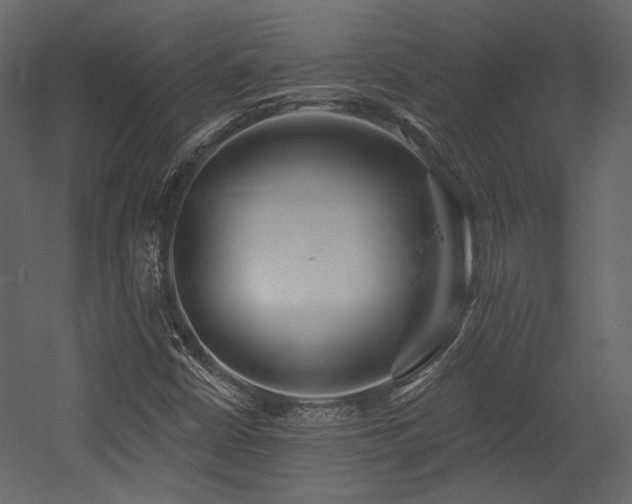 X0000054381402200508011241