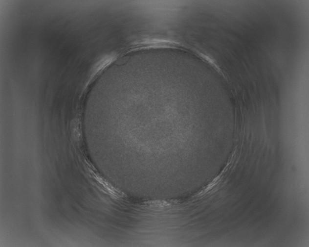 X0000054381405200508011241