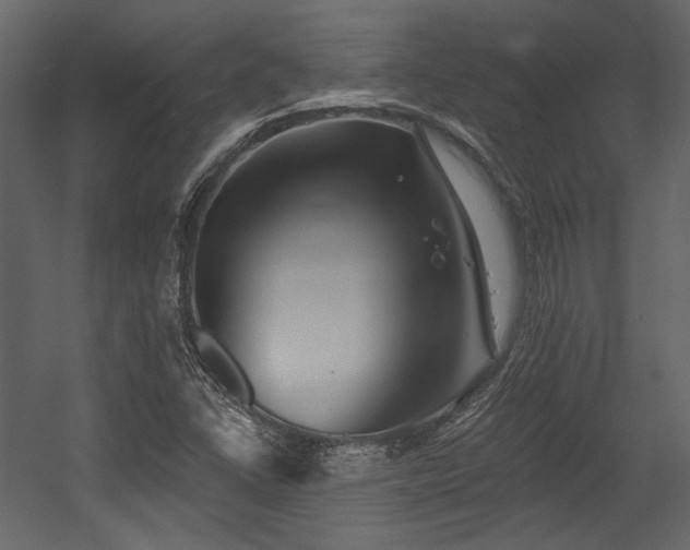 X0000054381406200508011241