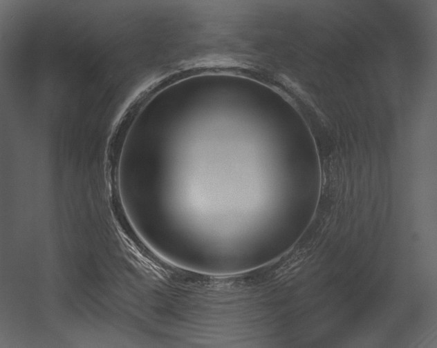 X0000054381408200508011241