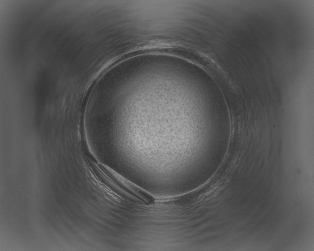 X0000054381409200508011241