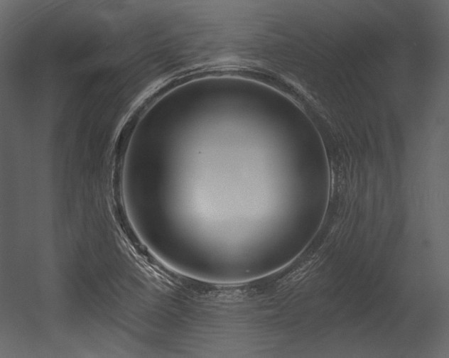 X0000054381410200508011241