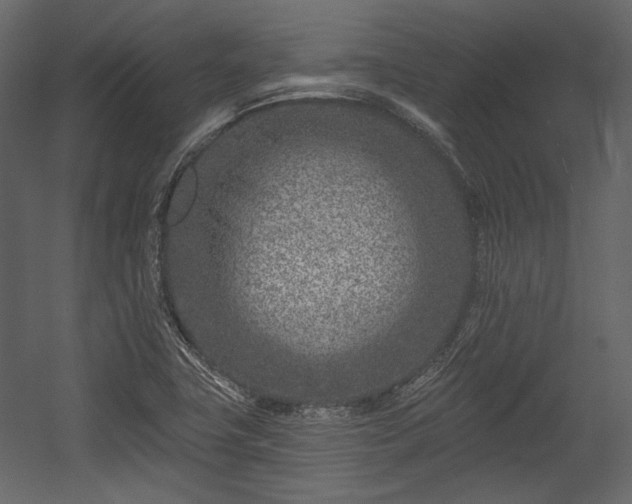 X0000054381411200508011242