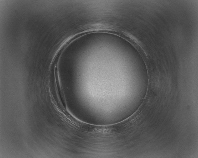 X0000054381415200508011242