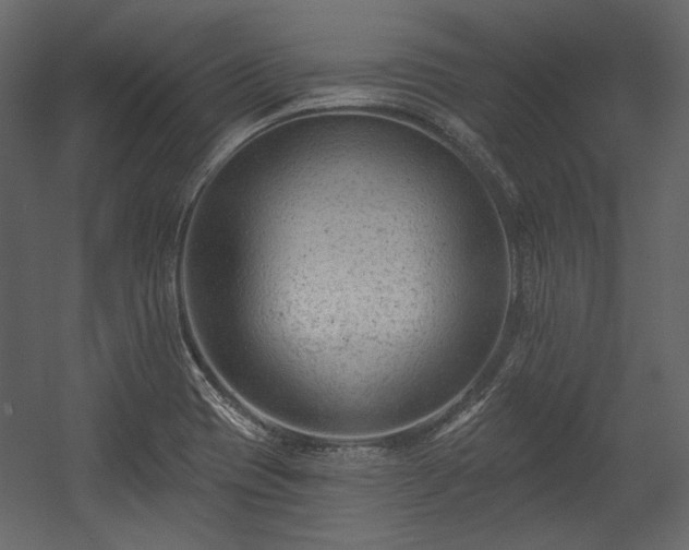 X0000054381417200508011242