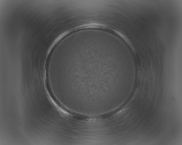 X0000054381418200508011242