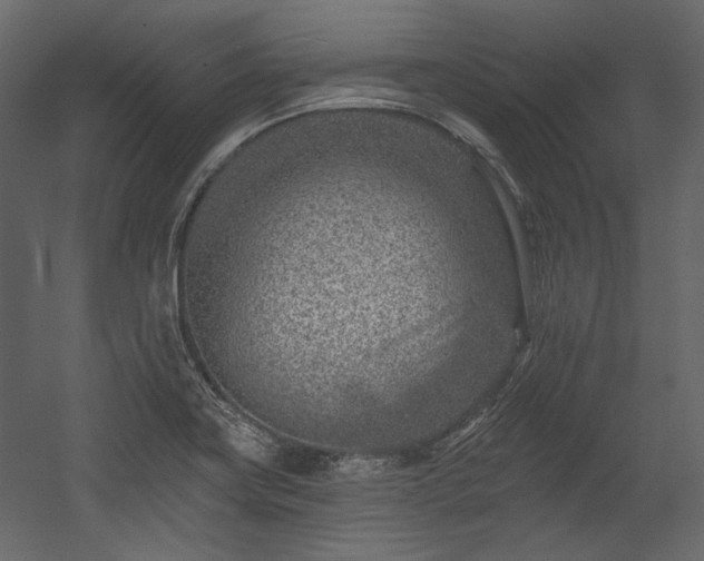 X0000054381419200508011242