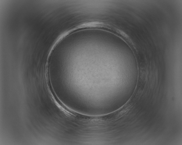 X0000054381421200508011242