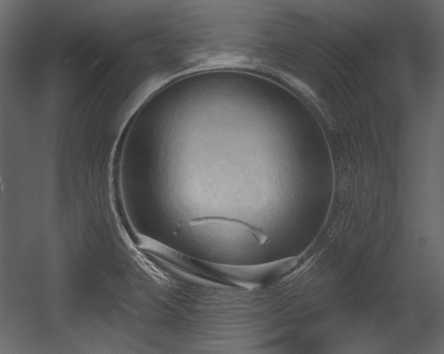 X0000054381423200508011242
