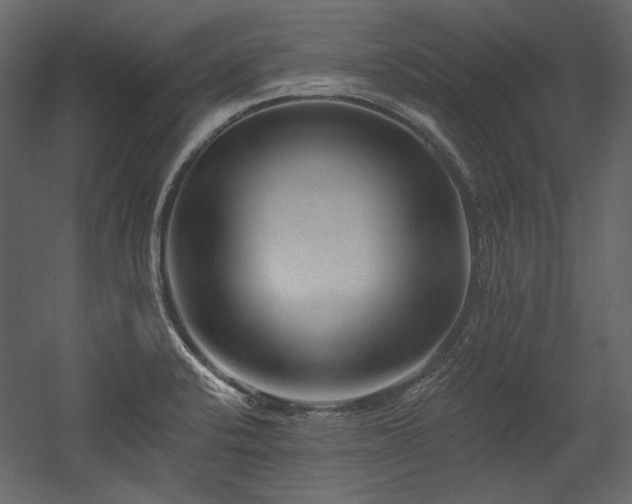 X0000054381424200508011242