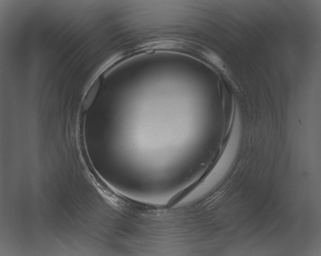 X0000054381426200508011242
