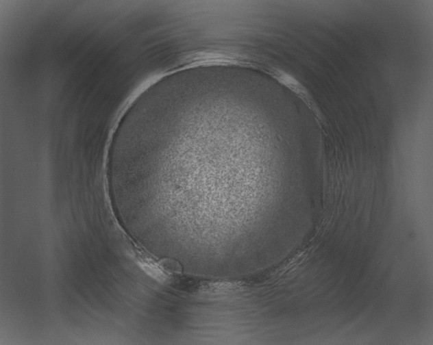 X0000054381427200508011242