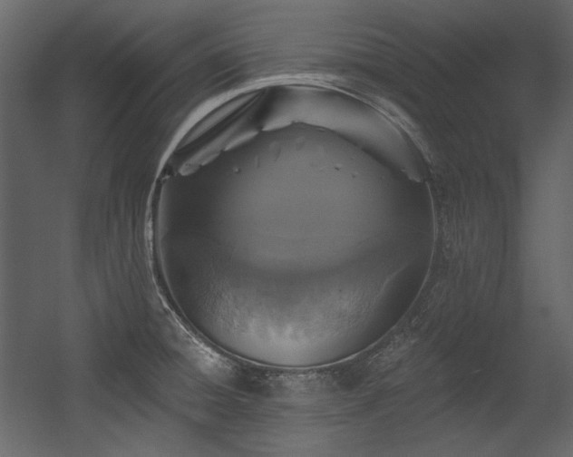 X0000054381428200508011242