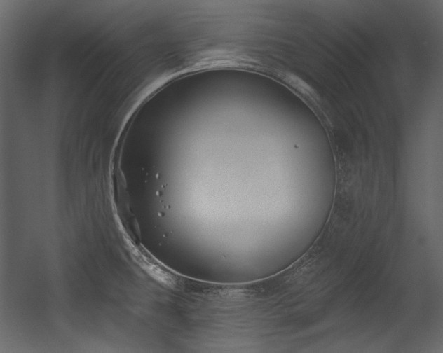 X0000054381431200508011242