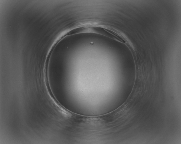 X0000054381432200508011242